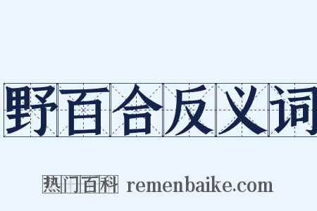 野百合反义词是什么意思的图片